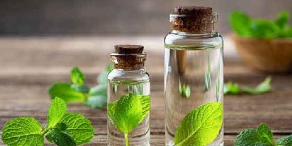 تصویر 2 از خرید و قیمت عرق نعنا صادراتی + فروش صادراتی